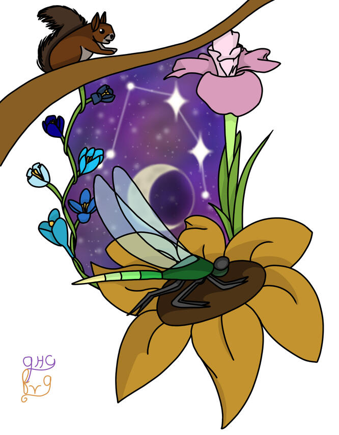 mural design